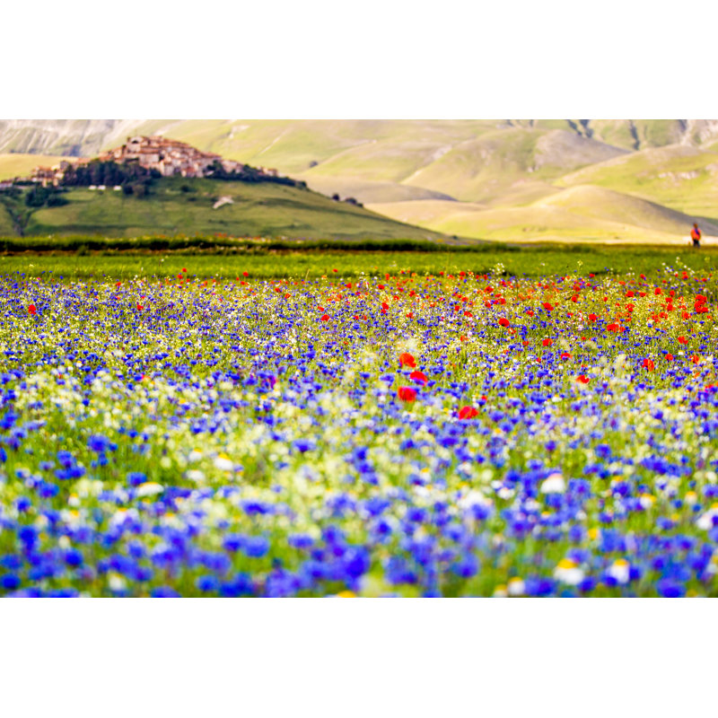 Castelluccio Di Norcia by Francesco Ricca Iacomino - Wrapped Canvas Print, 51cm H x 76cm W