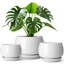 TYHPOT Ceramic Pot Planter-141006032