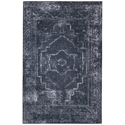 Riney Oriental Indoor Rug