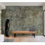 Murale Stony Barriere-671798060