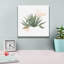 «Desert Color Succulent 1» par Sue Schlabach, art mural sur toile, 26 po x 26 po-2098449