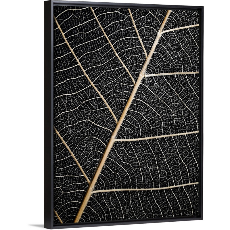 Feuilles de feuilles, art mural, H 18 po x l 14 po, Toile encadrée noire
