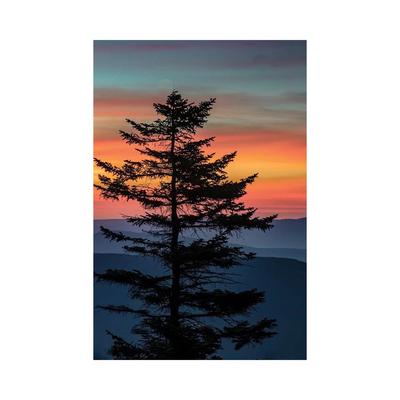 " USA, West Virginia, Blackwater Falls State Park. Tree And Landscape At Sunset " by Jaynes Gallery, 18" H x 12" W x 1.5" D
