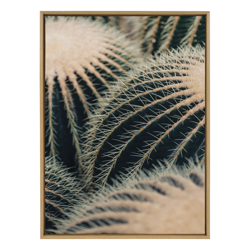 «Barrel Cactus» par Alicia Bock, reproduction d'art sur toile encadrée