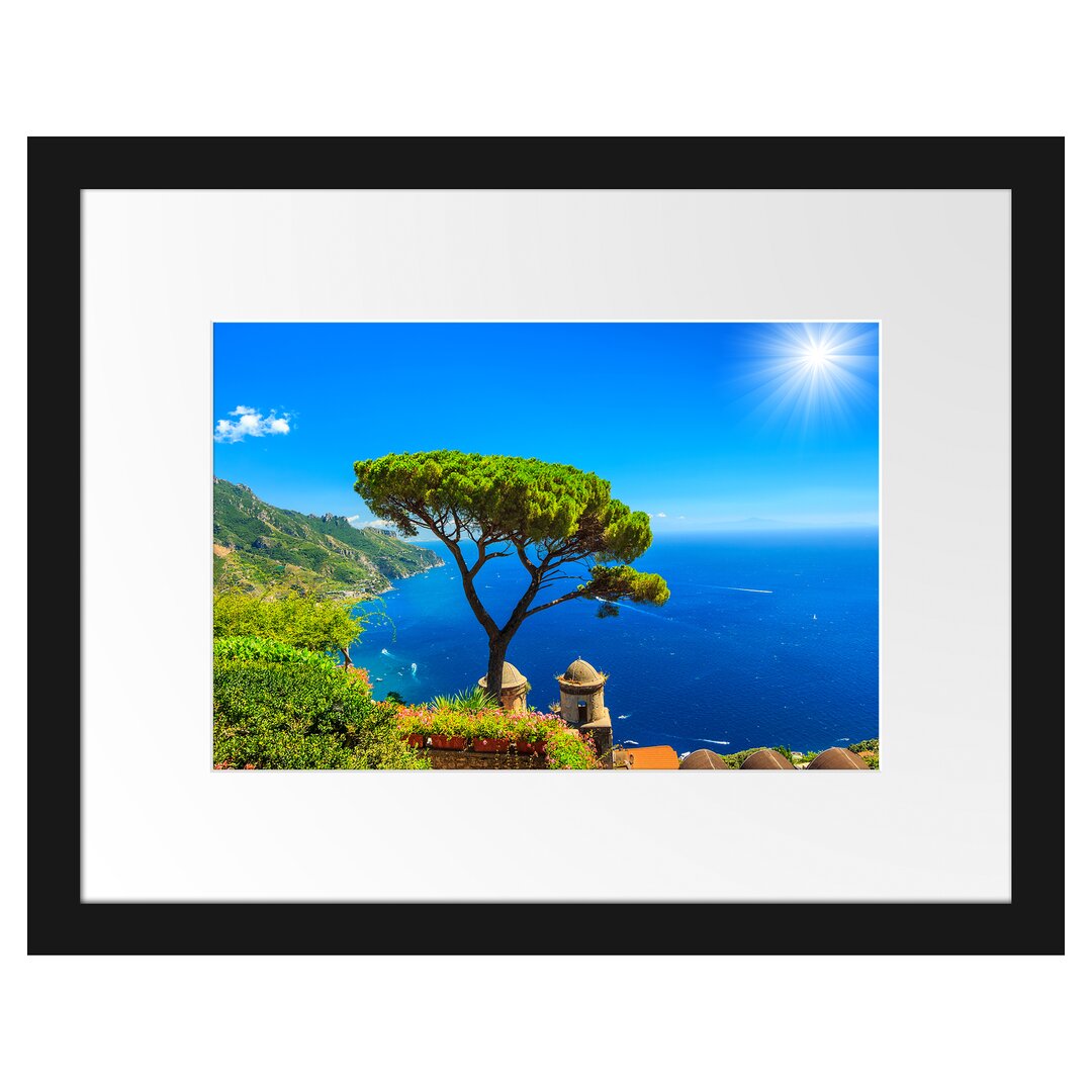 Gerahmtes Poster Baum am blauen meer