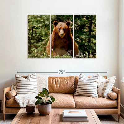 Brampt Yosemite Bear
