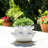 Ceramic Tapered Bubble Planter-2080829556-2080829555-2080829552