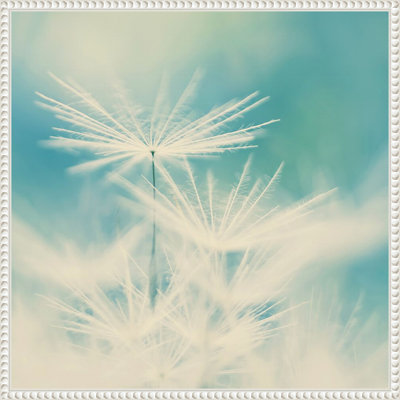 «Fluff» par Ingrid Beddoes, reproduction d'art sur toile encadrée