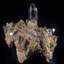 Terminated Smoky Quartz Cluster