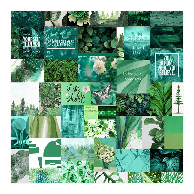 Papier peint Inspirational Green, L 48 po x l 48 po
