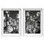 Botanique Noir Set Set by Oliver Gal-276066032-276066035
