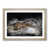 Oak Framed selected
