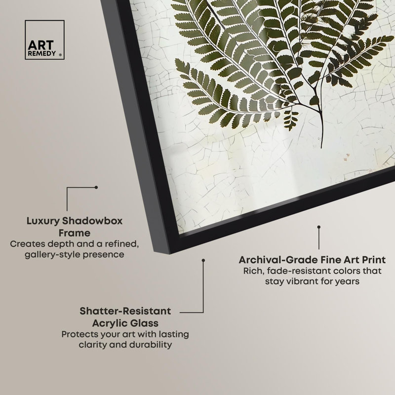 «Time's Imprint I Botanical Decor Shadowbox» par Art Remedy, H 16 po x l 11 po, Noir