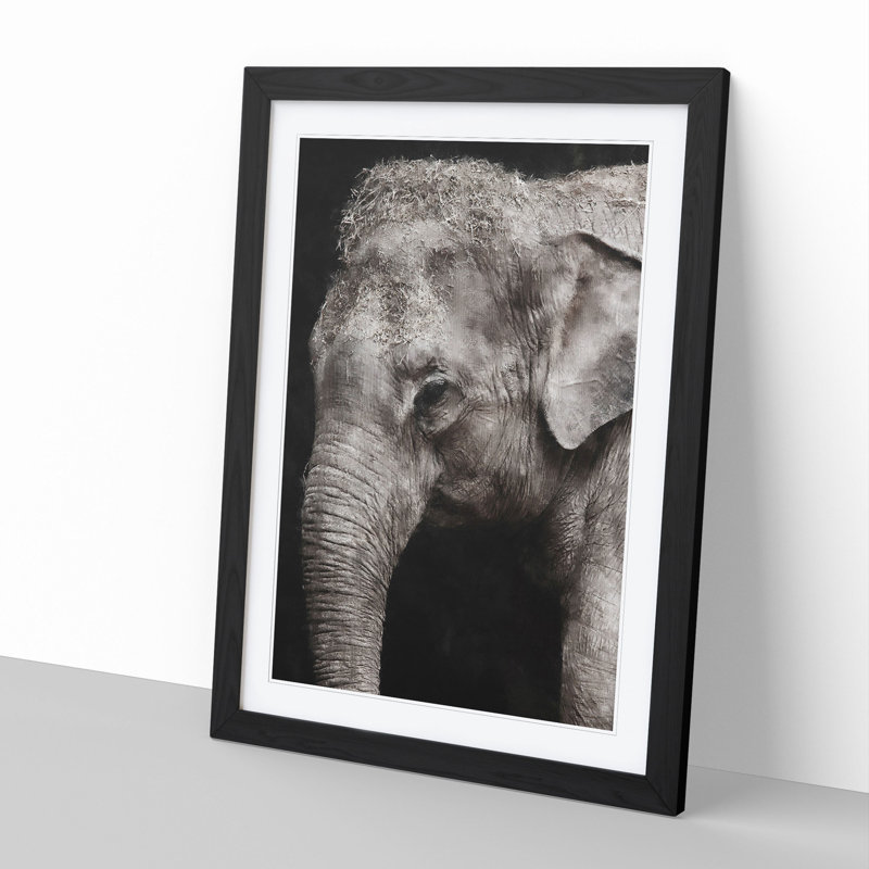 Elephant Vol.3 - Picture Frame Graphic Art, Black Framed, 36cm H x 27cm W x 2cm D