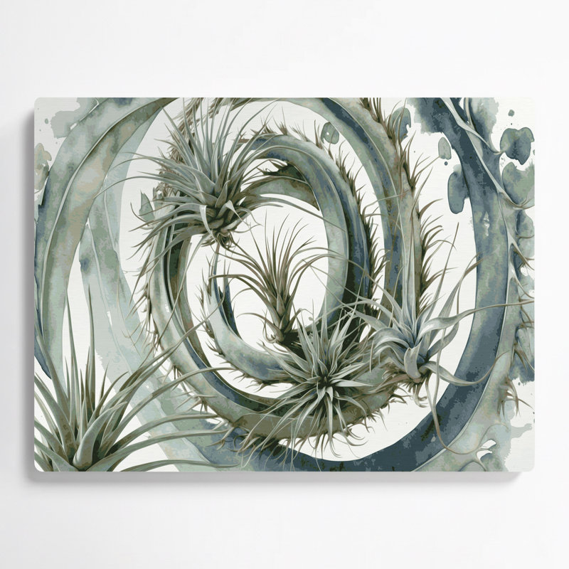 Art mural en métal Botanical Air Plants, H 11 po x l 14 po