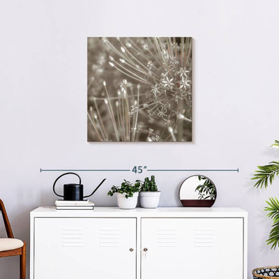 Harnek argent alliums