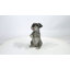 Schnauzer miniature assis