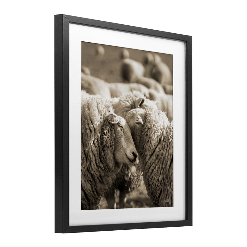 «Hugling Sheep in Flock», reproduction encadrée sous verre, conception de Martin Podt, H 21 po x l 17 po, Cadre noir minuit