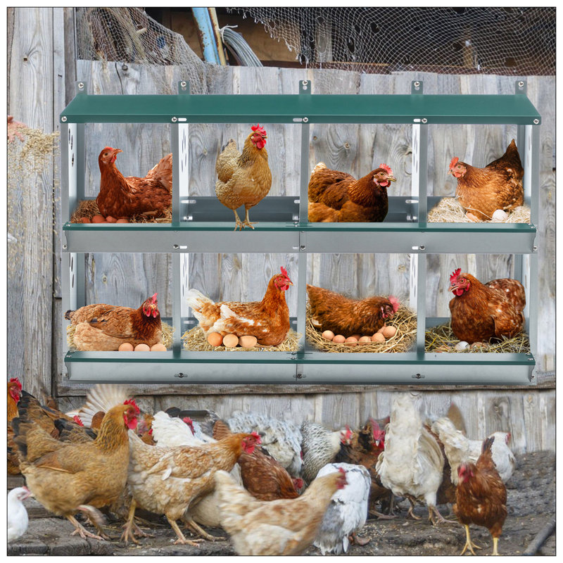 Boîtes gigognes en métal à 8 compartiments avec trous ventilés pour une meilleure production d'œufs et un nettoyage facile