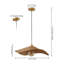 Luminaire suspendu 24 po Miko