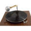 Metropole Entertainment Figurines & Sculptures