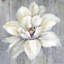 Fleur blanche sur bois - reproduction botanique encadrée pour la décoration intérieure-1174102270-1174102256