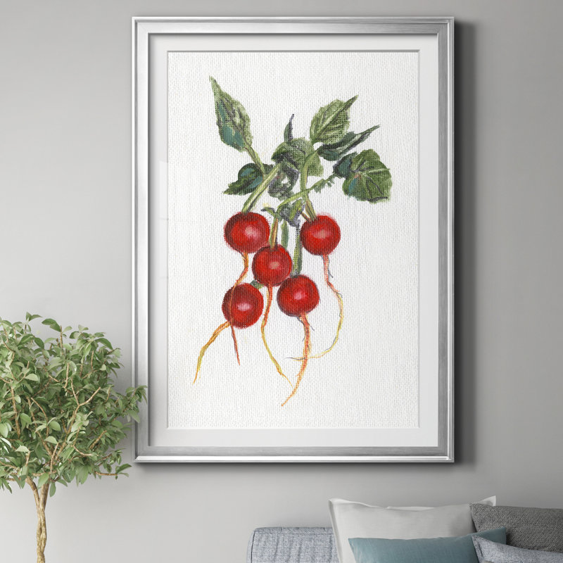 Garden Fresh Radish - Reproduction de photo encadrée sur papier, Argent, H 30,5 po x l 42,5 po x P 1,5 po