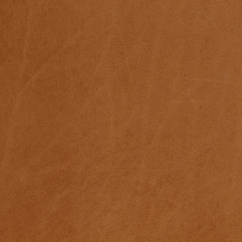 Arlow Upholstered Dining Chair