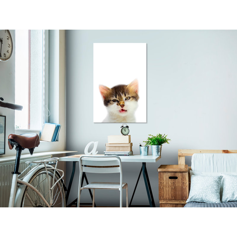 No Frame Print on Canvas, 40cm H x 60cm W