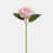 Pink n'est pas disponible