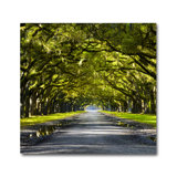 The Path Home Print