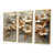 Toile avec cadre flottant or