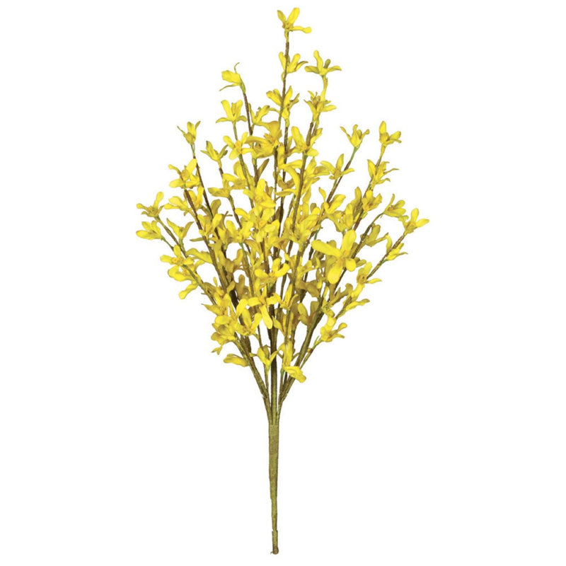 Forsythia Arrangement