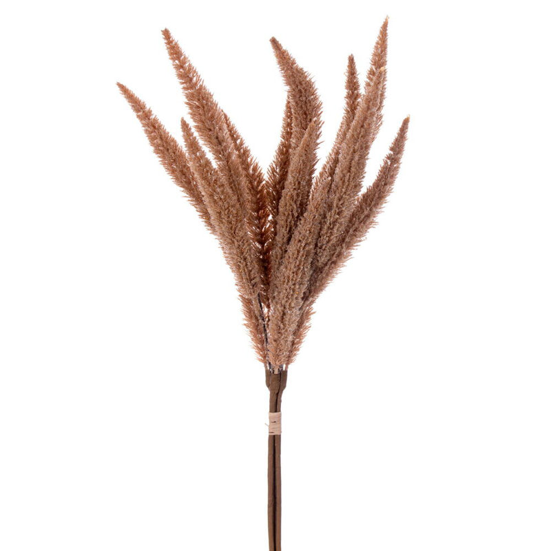 Ensemble de sardine brune 24 po Primrue., Beige