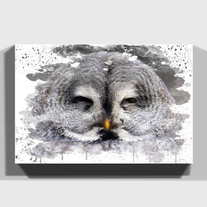 Owl Closing Eyes - Wall Art, 40cm H x 60cm W, Wrapped Canvas