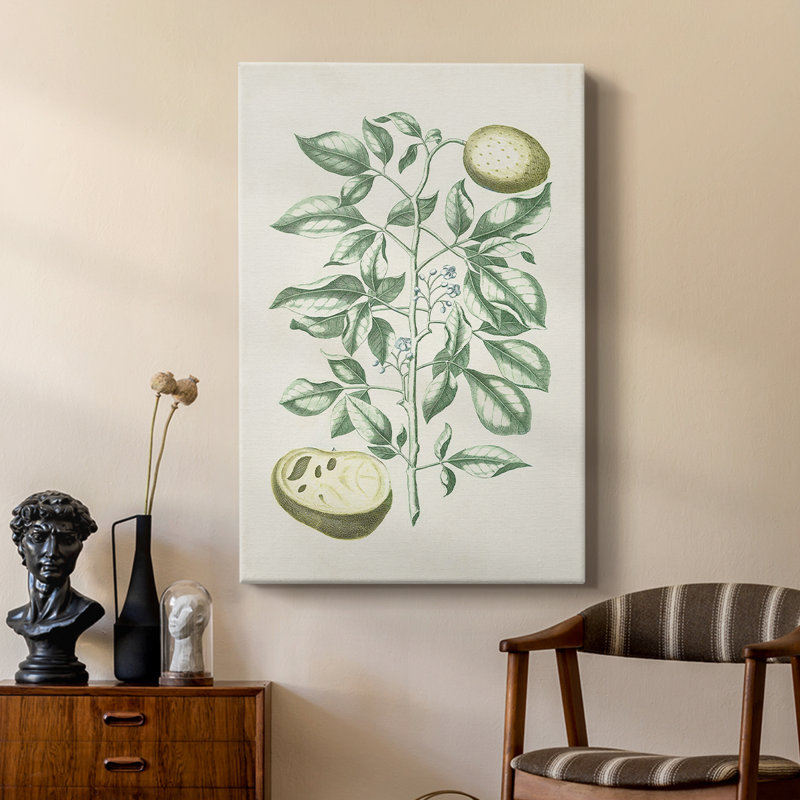 Buchoz Tropicals III - Gallery Cavas sur mesure, H 36 po x l 24 po