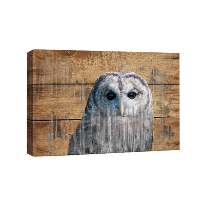 1 Piece Wrapped Canvas Wall Art