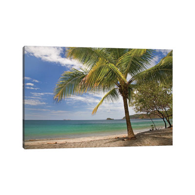 Palm Trees Line Penca Beach, Costa Rica by Tim Fitzharris - Wrapped Canvas Print