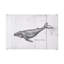 Toile texturée avec baleine à bosse-913124878