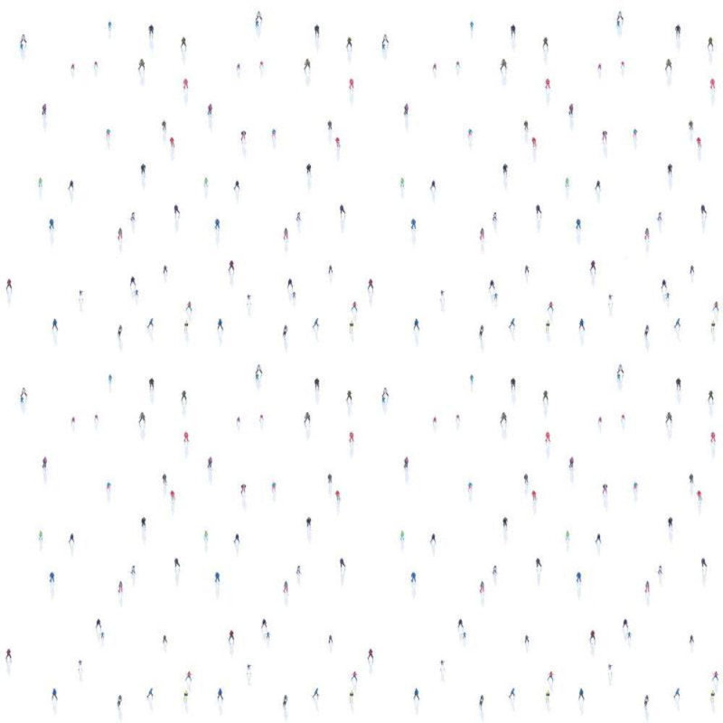 Rouleau de papier peint adhésif 10 pi x 24 po Downhill Skiers, Non encollé, Faux Grasscloth