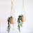 Bayou Breeze Agora Jute / Sisal Decorative Bin