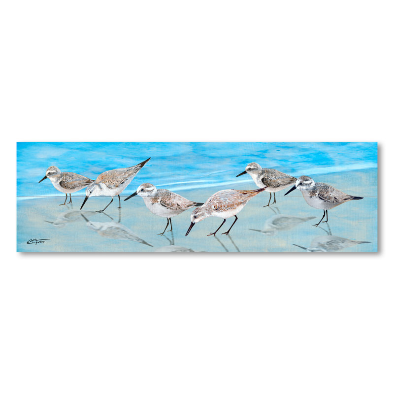 Sandpipers