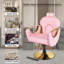  Fauteuil de coiffeur Fauteuil de coiffeur hydraulique Fauteuil de coiffeur pivotant sur 360 degrés Fauteuil de coiffure pivotant Fauteuil de coupe Shampooing pour salon Equipmen (rose)-561877513