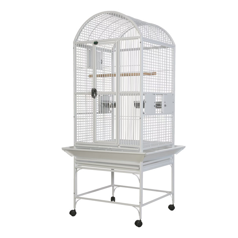 Cage à dôme blanche 24 x 22 par A&E, Blanc pur