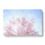 Pink Japanese Cherry Tree In Spring In Abstract - Wrapped Canvas-55339303