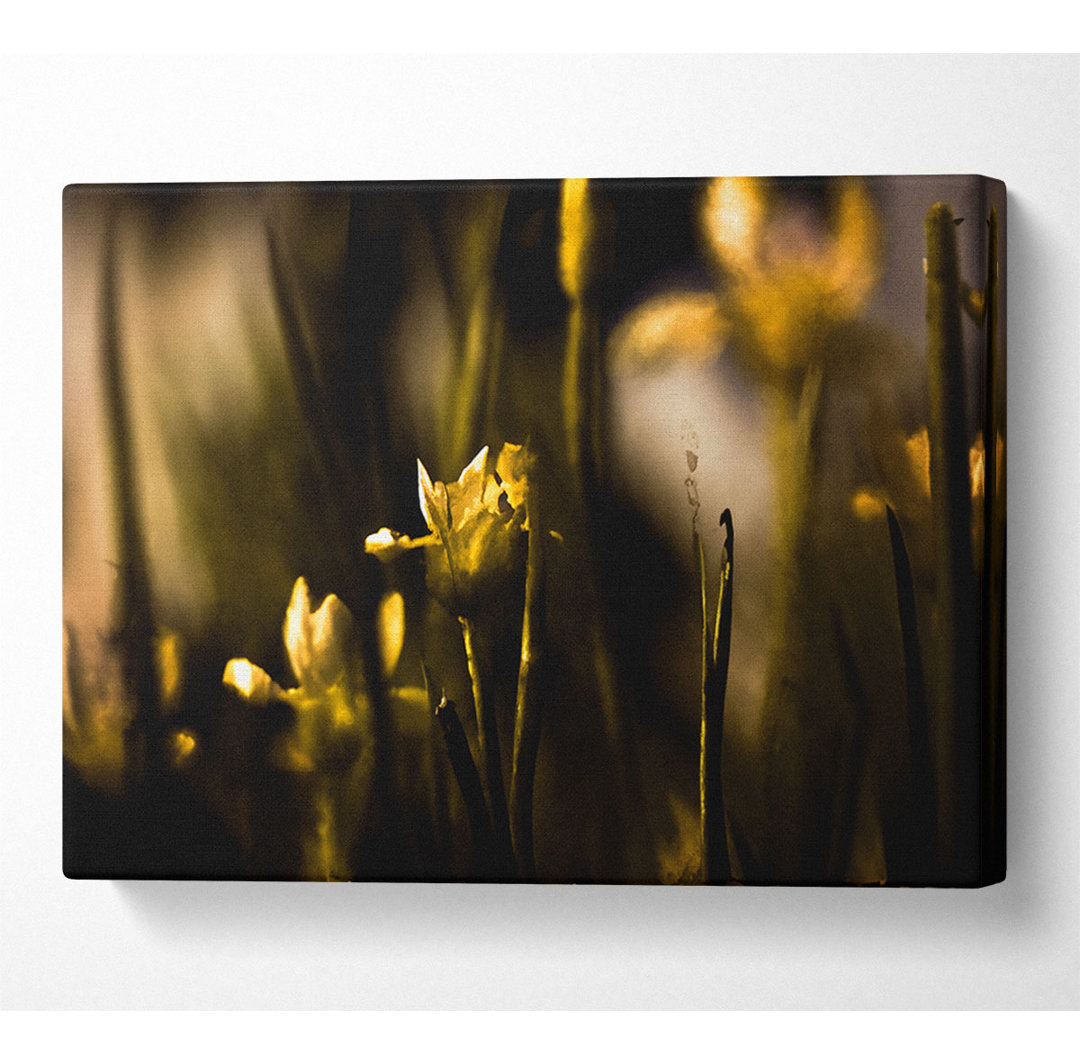 Verwelkte gelbe Blumen - Kunstdrucke auf Leinwand - Wrapped Canvas