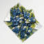 Tapisserie murale «Fruit Blueberry Highbush»-133641485