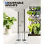 Éclairage de culture sur pied Barrina T2S pour plantes d'intérieur avec minuterie, 65 W, 5000 K, Ppfd élevé, spectre complet, lumières de croissance verticales de la série Tera, hauteur réglable de 5 pi à 5,6 pi, interrupteur au pied, conception sans éblouissement, noir