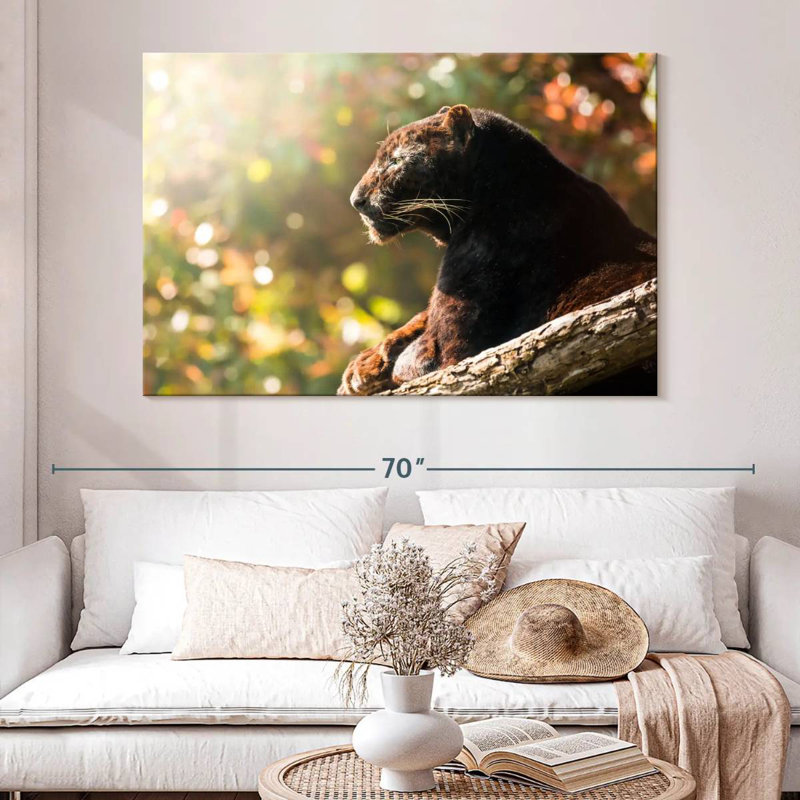 Resting Black Panther, 34" H x 51" W