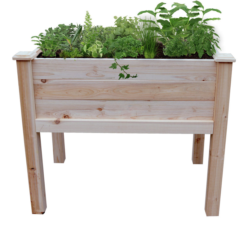 Lit de jardin surélevé 36 X 22, H 31 po x l 36 po x P 22 po